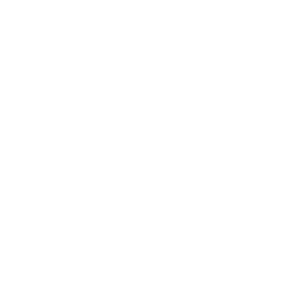 Icon_Delivery_White