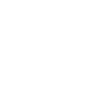 Icon_Tools_White