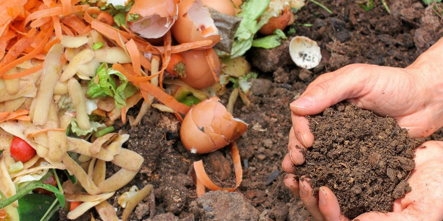 Blog_BackyardComposting_900x450