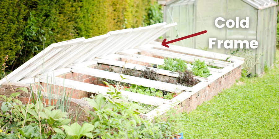 Blog_ColdFrame_900x450
