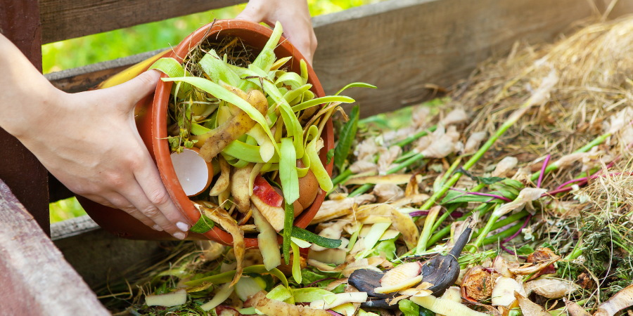 Blog_CompostIngredients_900x450
