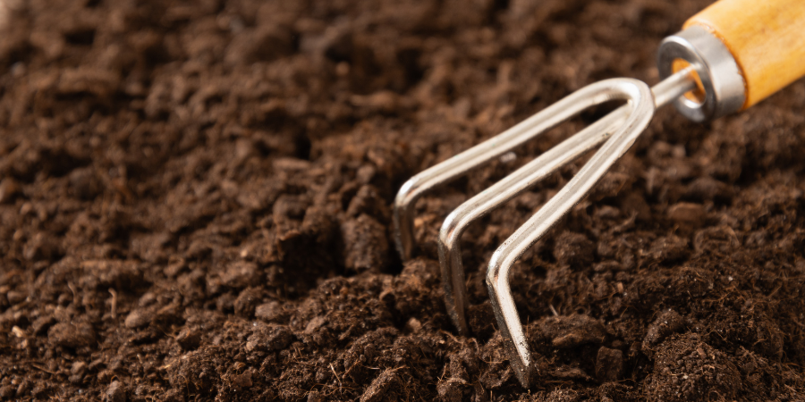 Blog_GardenSoil_900x450-1