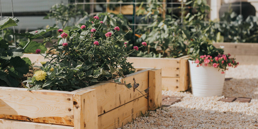 Blog_HomeRaisedGardenBed_900x450