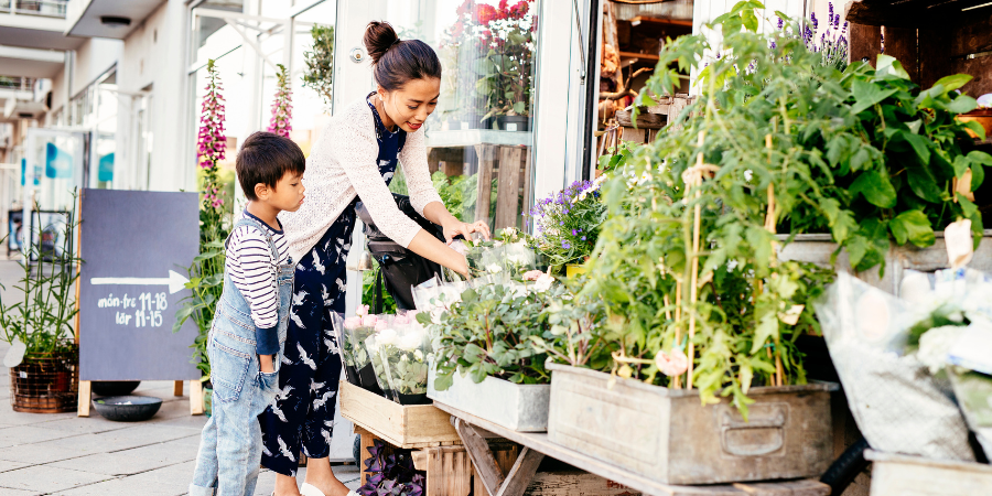 Blog_PlantsShopping_900x450