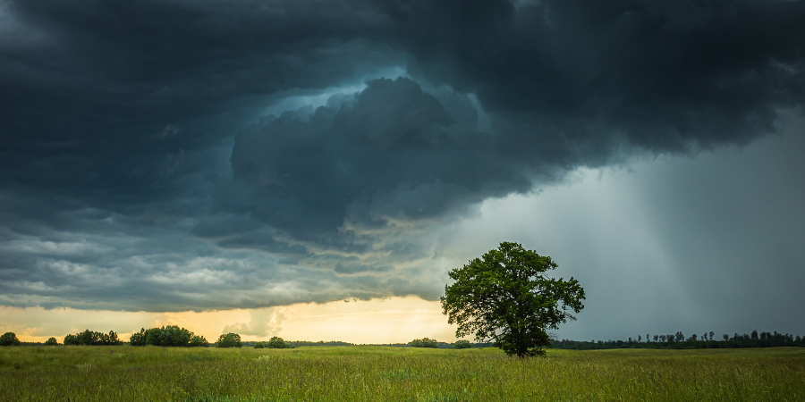 Blog_StormWeather_900x450