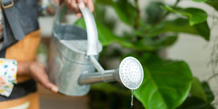 Blog_Watering Can_900x450