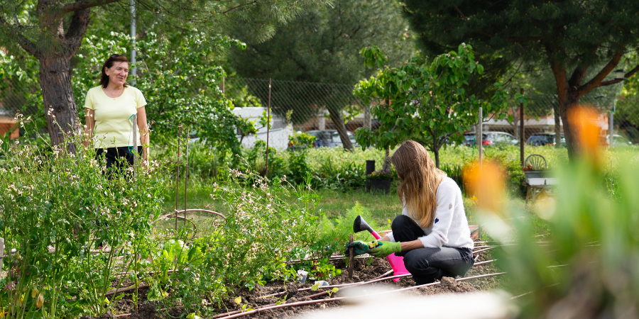 Blog_WintertoSummer_900x450