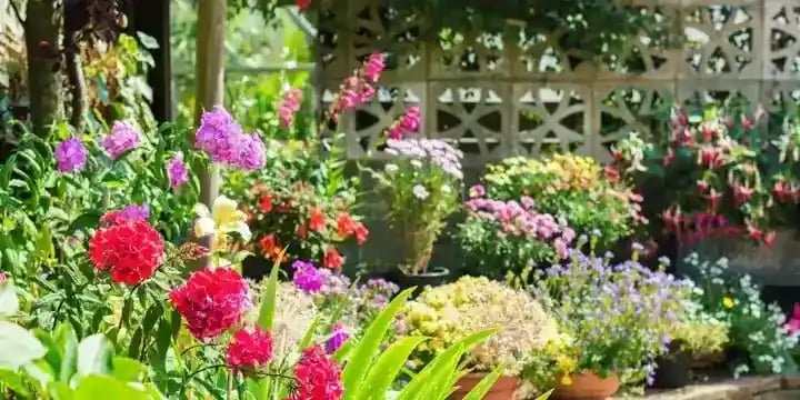 Blog_Header_Garden with Shed Blended in (3) (1) (1) (1) (1)_11zon