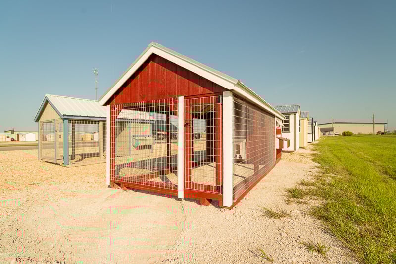 chicken-coop-with-run-dallas-tx-05