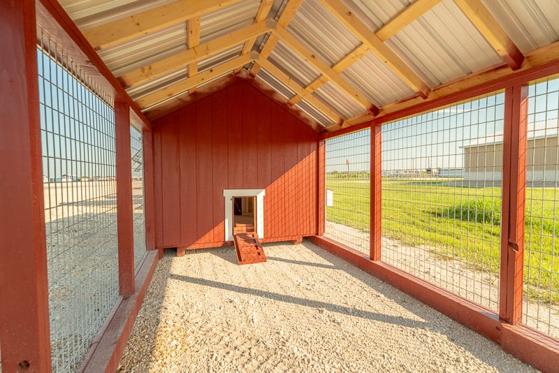 chicken-coop-with-run-dallas-tx-06