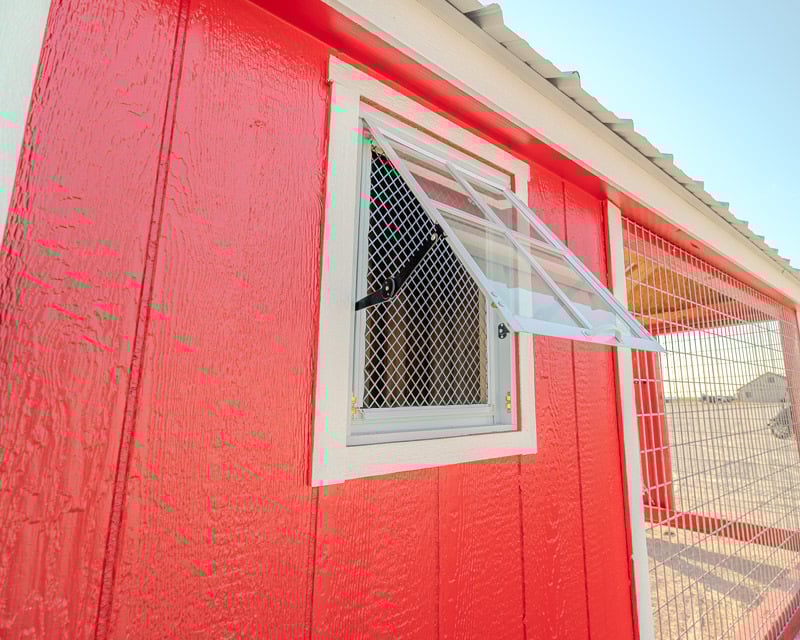 chicken-coop-with-run-dallas-tx-12