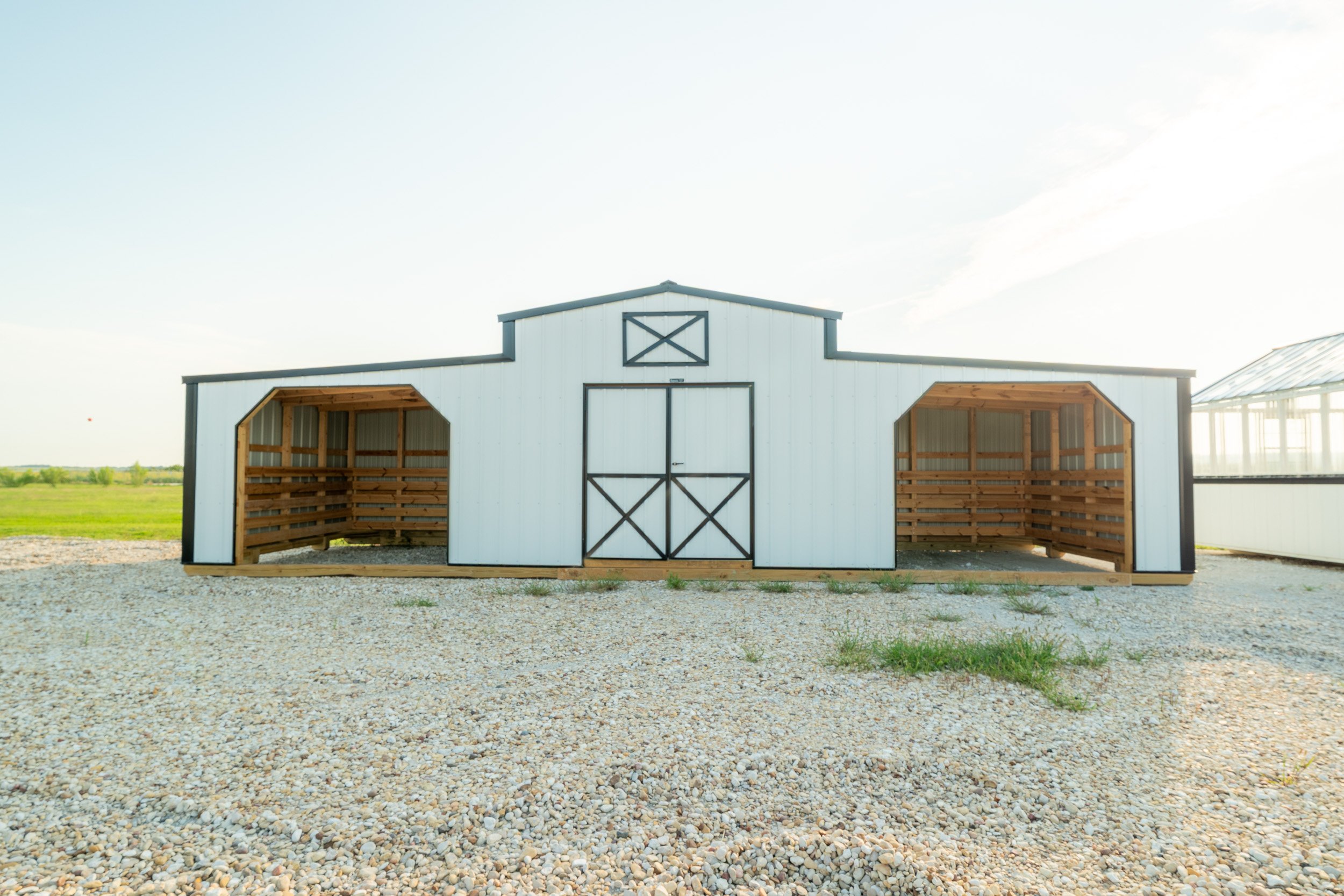 horse-run-in-shed-texas-02