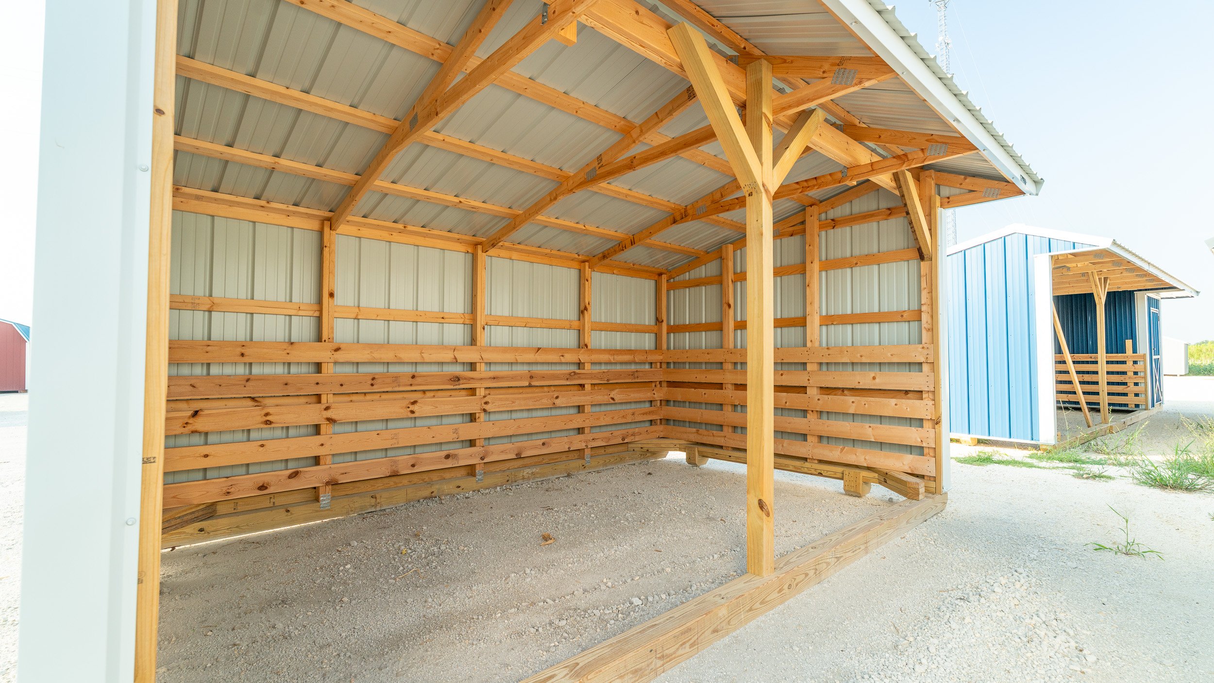 horse-run-in-shed-texas-12