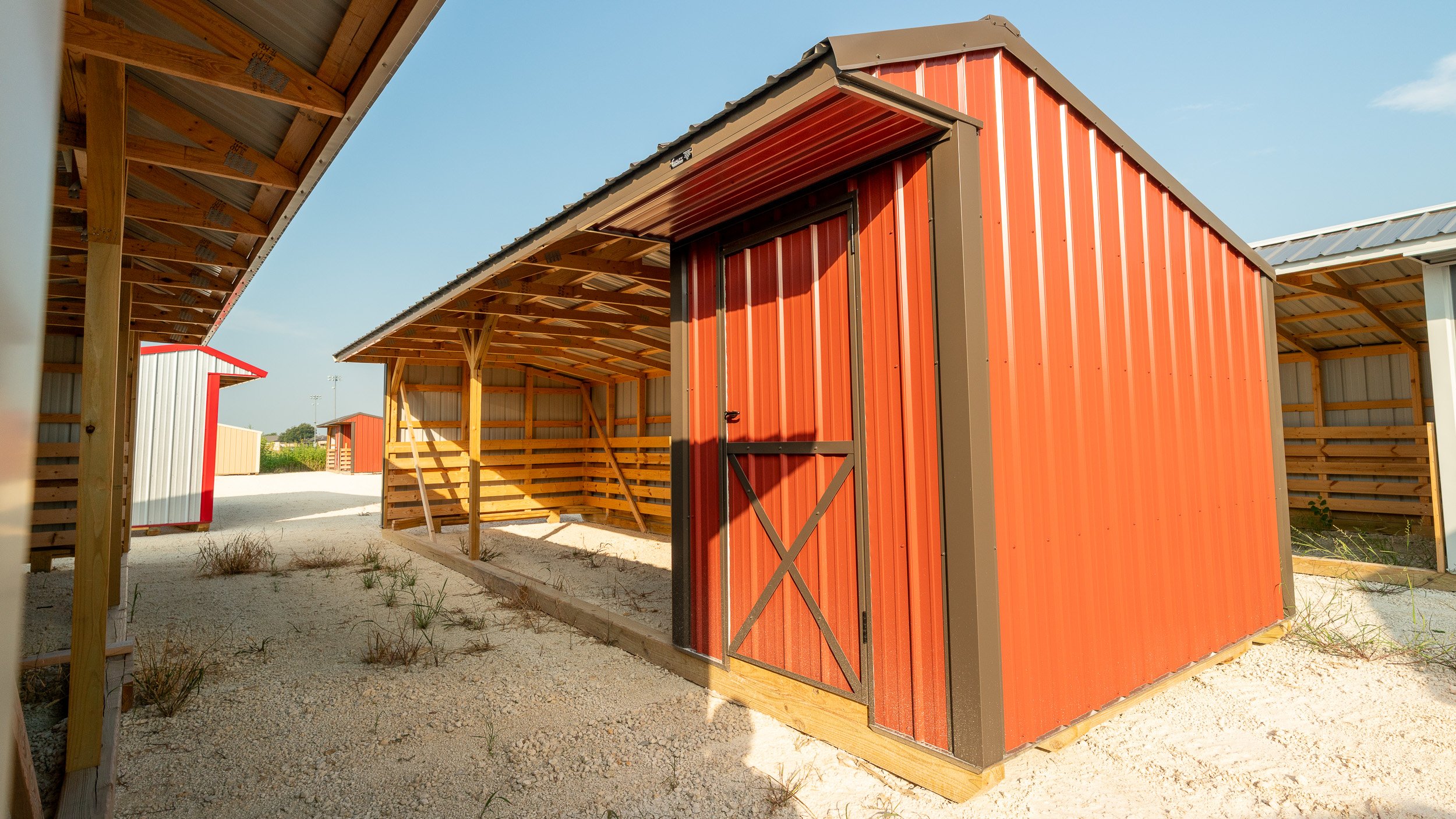 horse-run-in-shed-texas-13