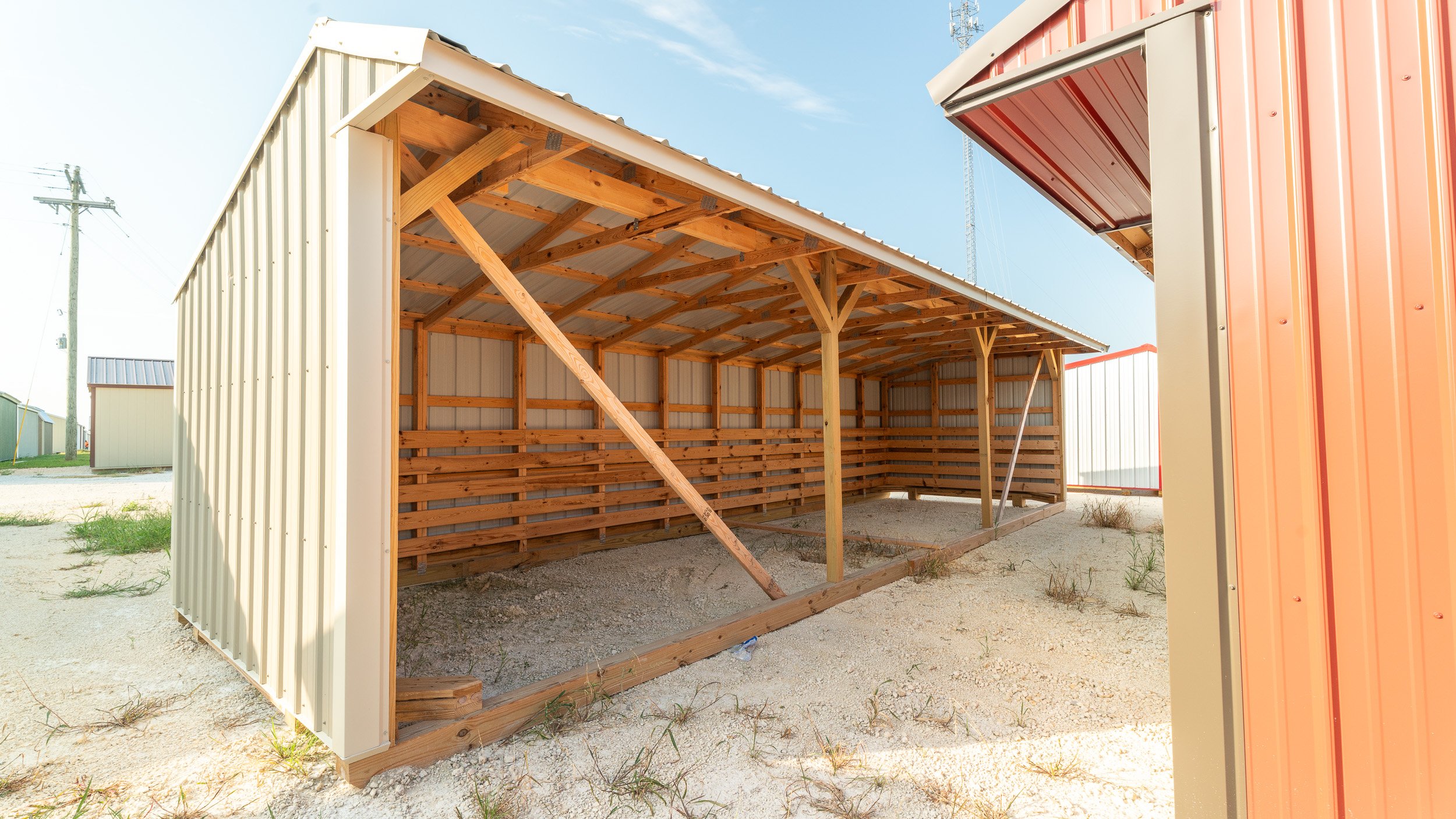 horse-run-in-shed-texas-14