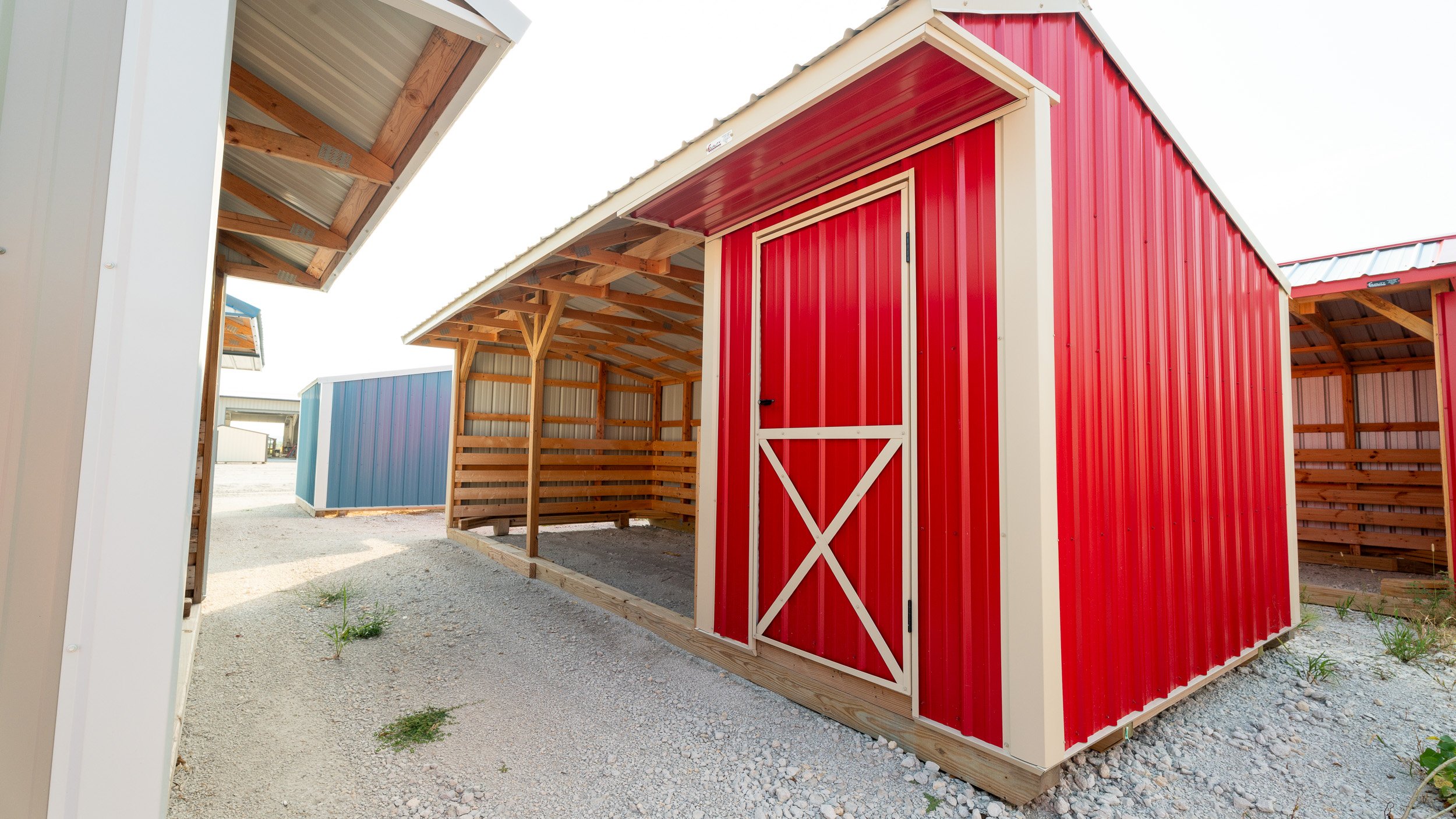 horse-run-in-shed-texas-15