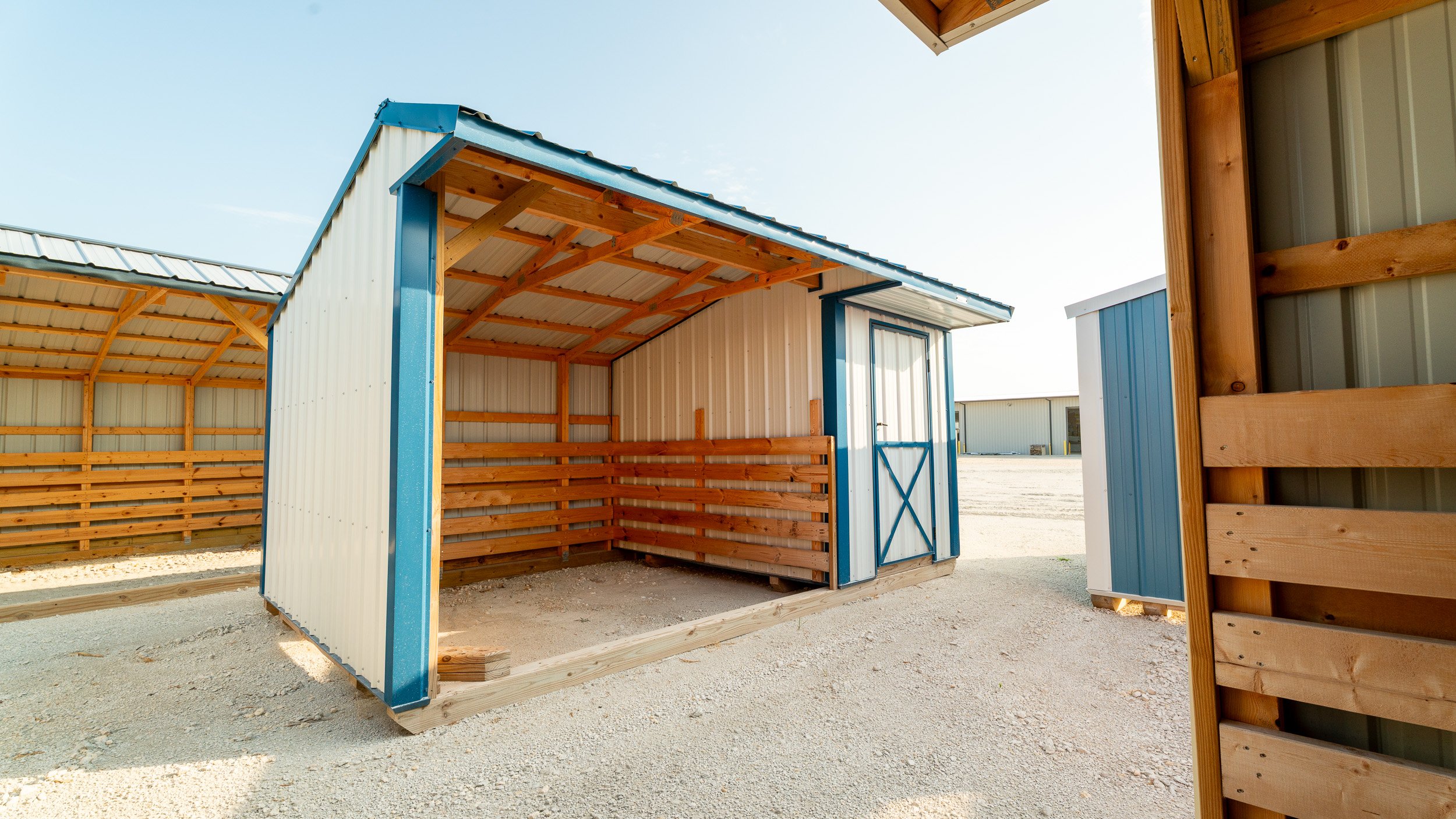 horse-run-in-shed-texas-16