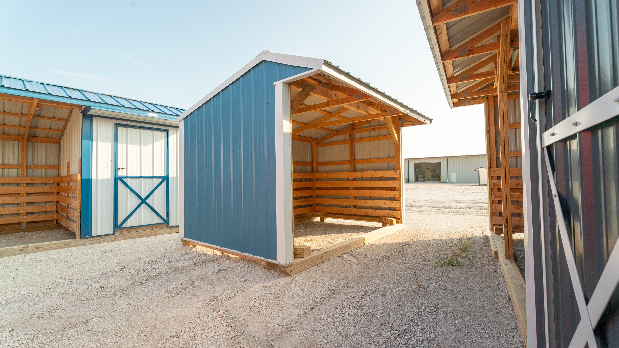horse-run-in-shed-texas-17