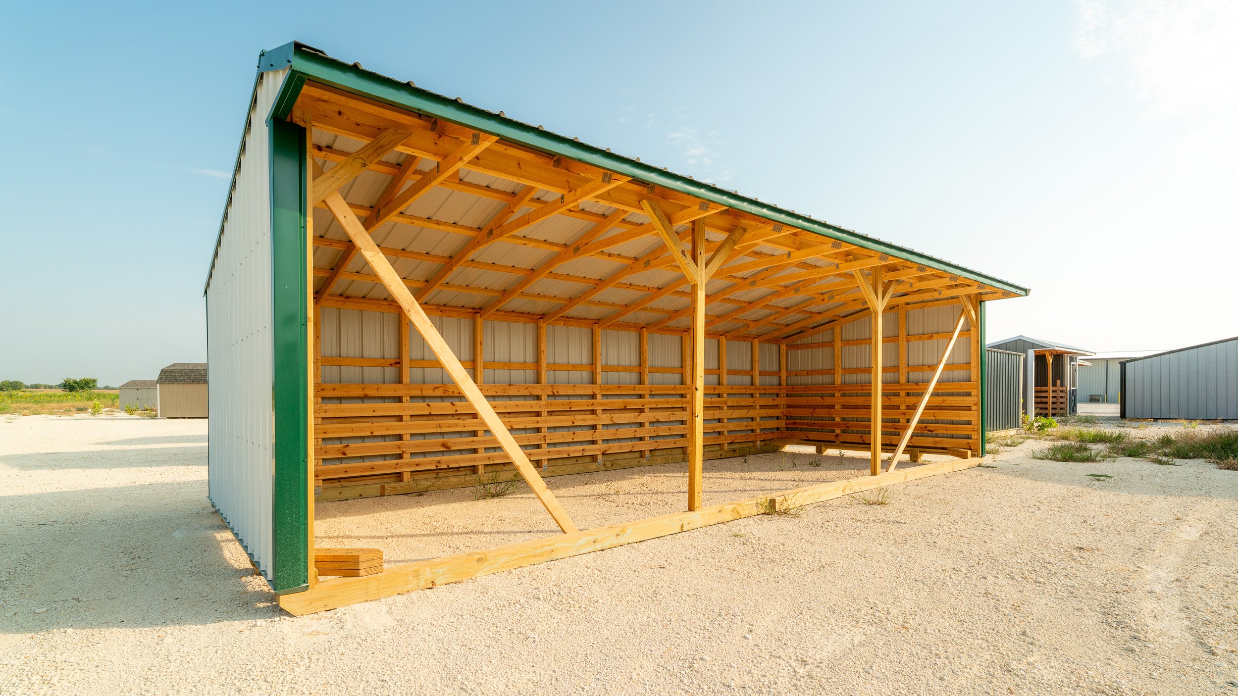 horse-run-in-shed-texas-20