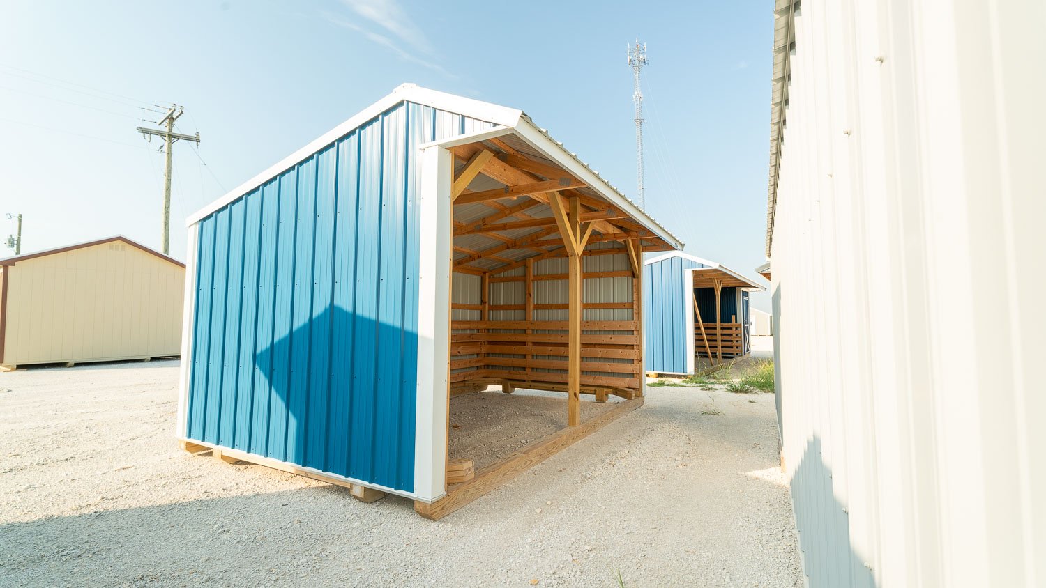 Blue metal run-in shed with an open front, exposed wood rafters and posts, and horizontal wood kickboards along the back wall