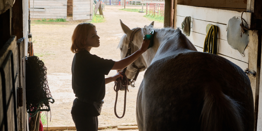 woman caring for horse