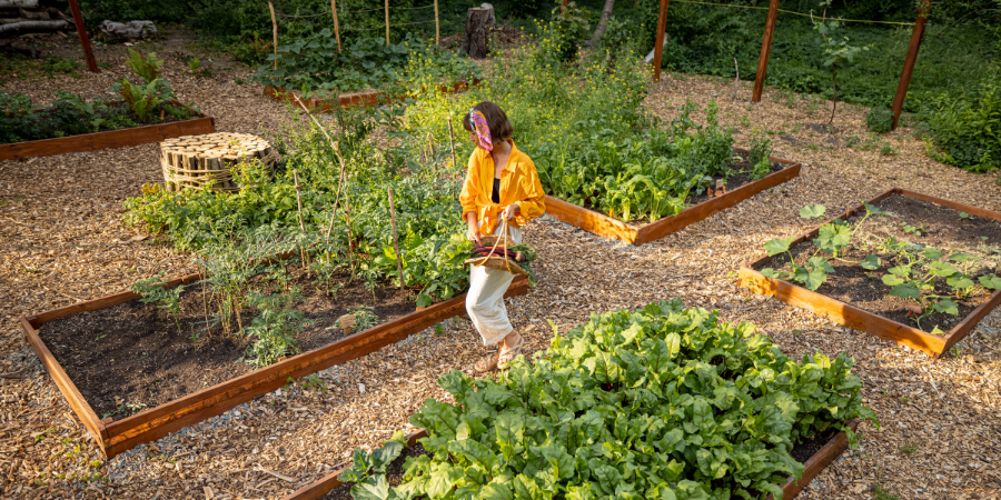 woman in garden design layout