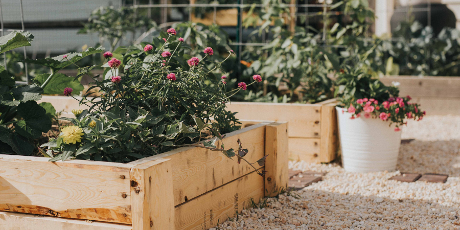 raised garden beds