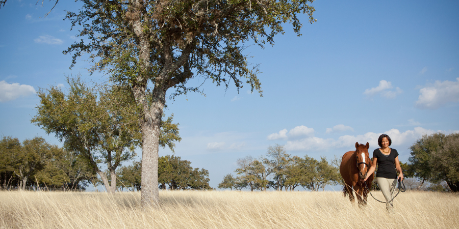 open field with horse and woman