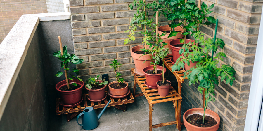 small space gardening