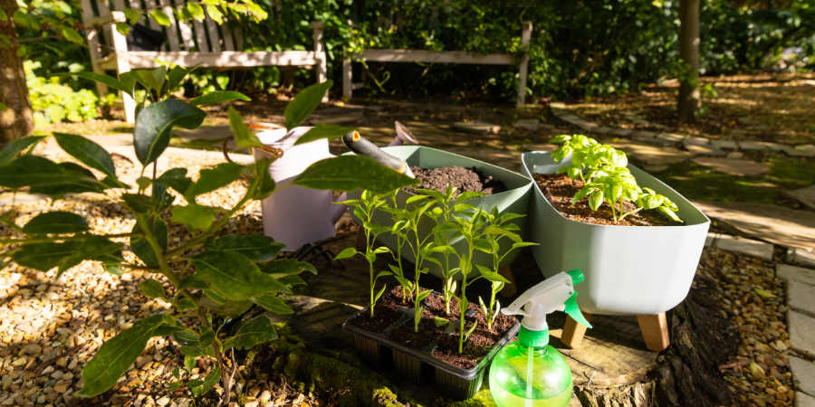 beginner starting a garden