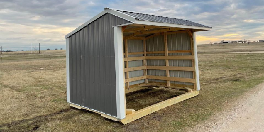 run in loafing horse shed