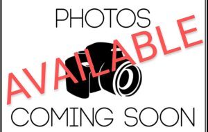 8x12 Greenhouse #4937