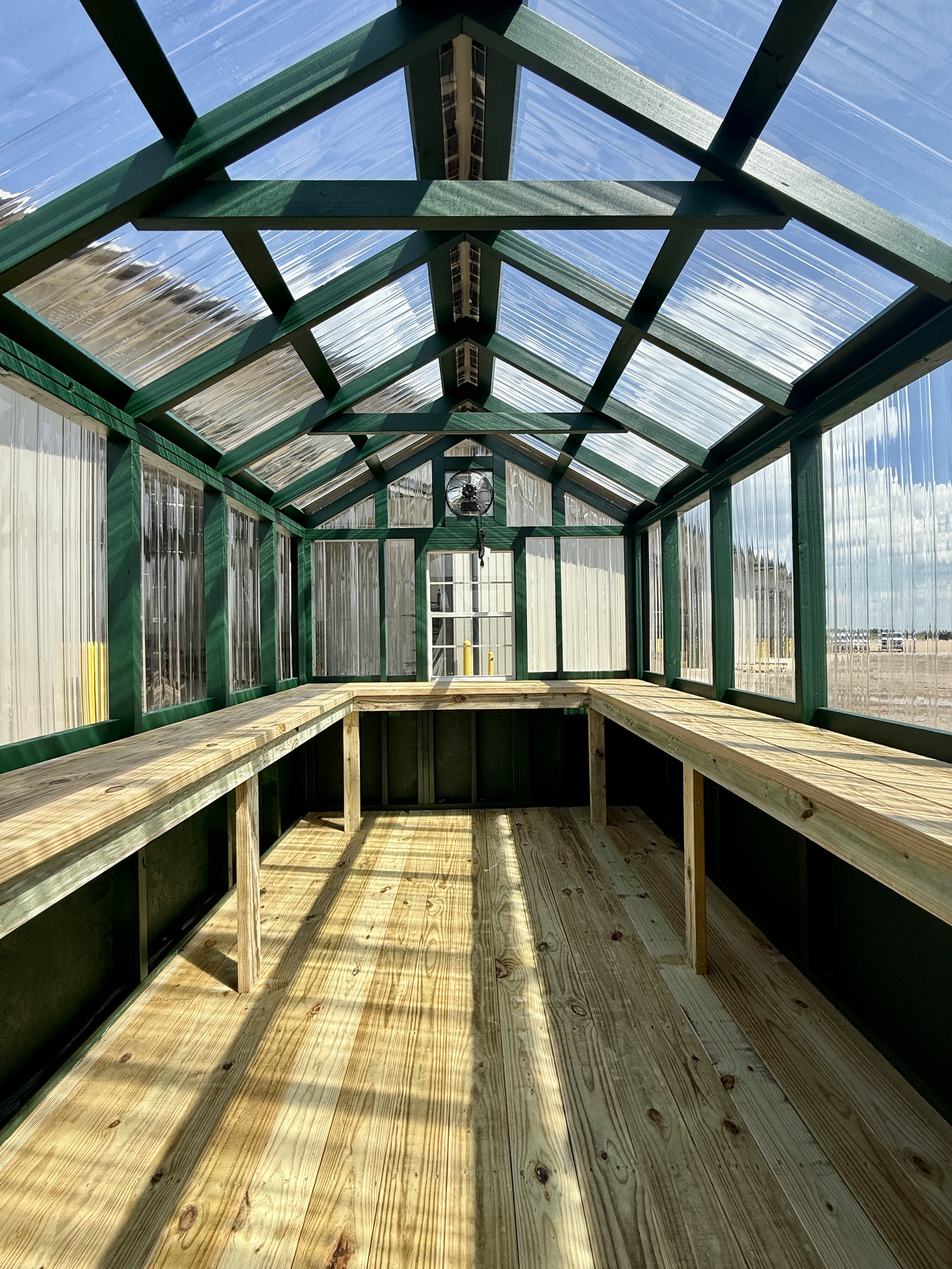 8x12 Greenhouse #6971