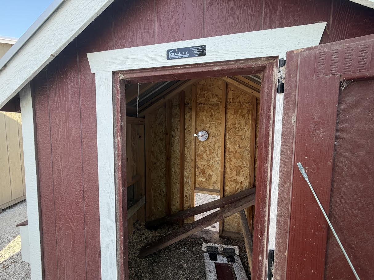 6x12 Chicken Coop #6463
