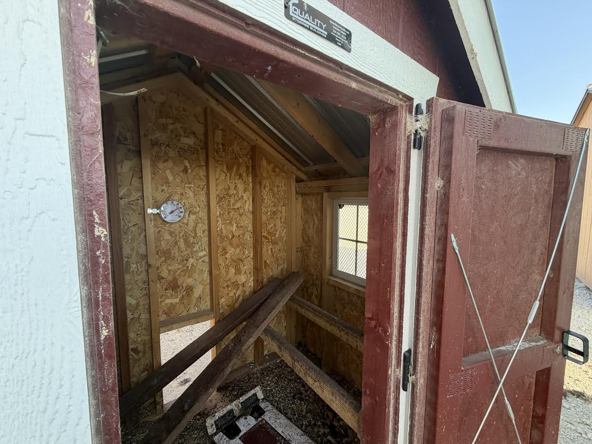 6x12 Chicken Coop #6463