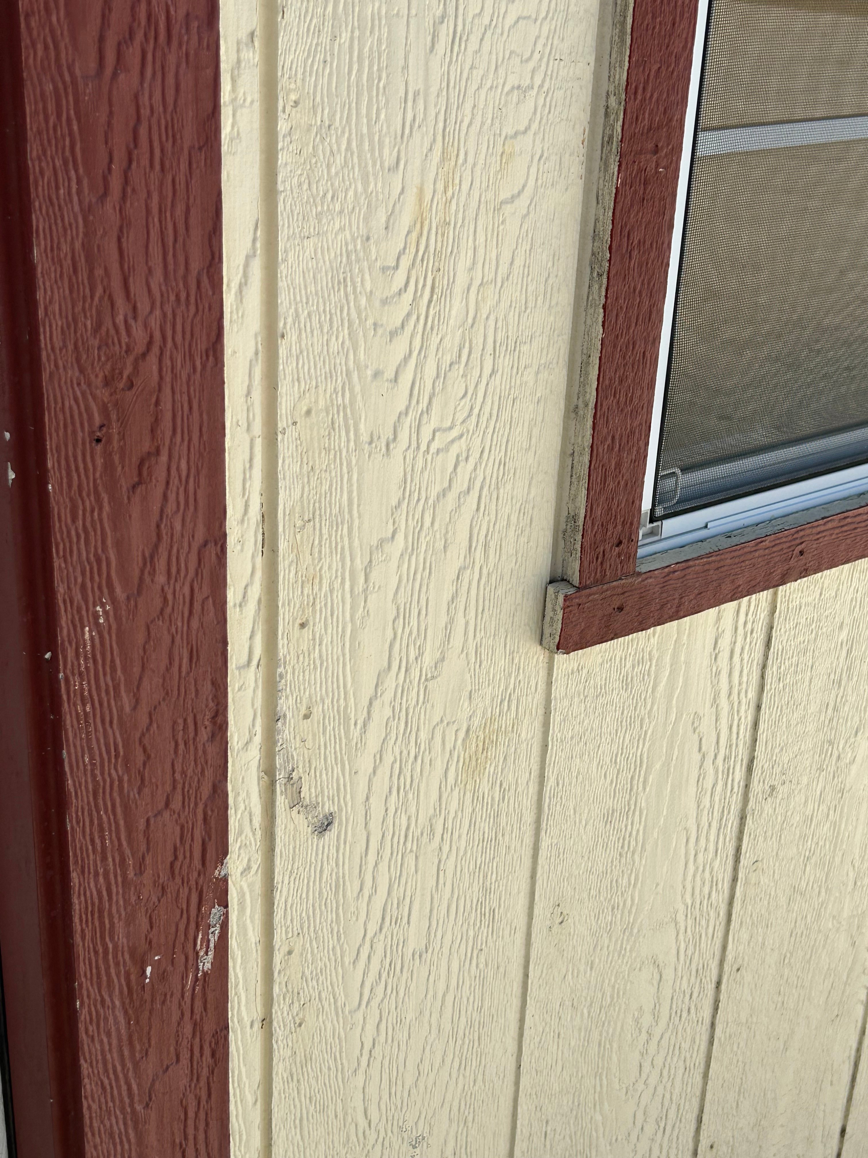 8x12 Garden Shed #1034