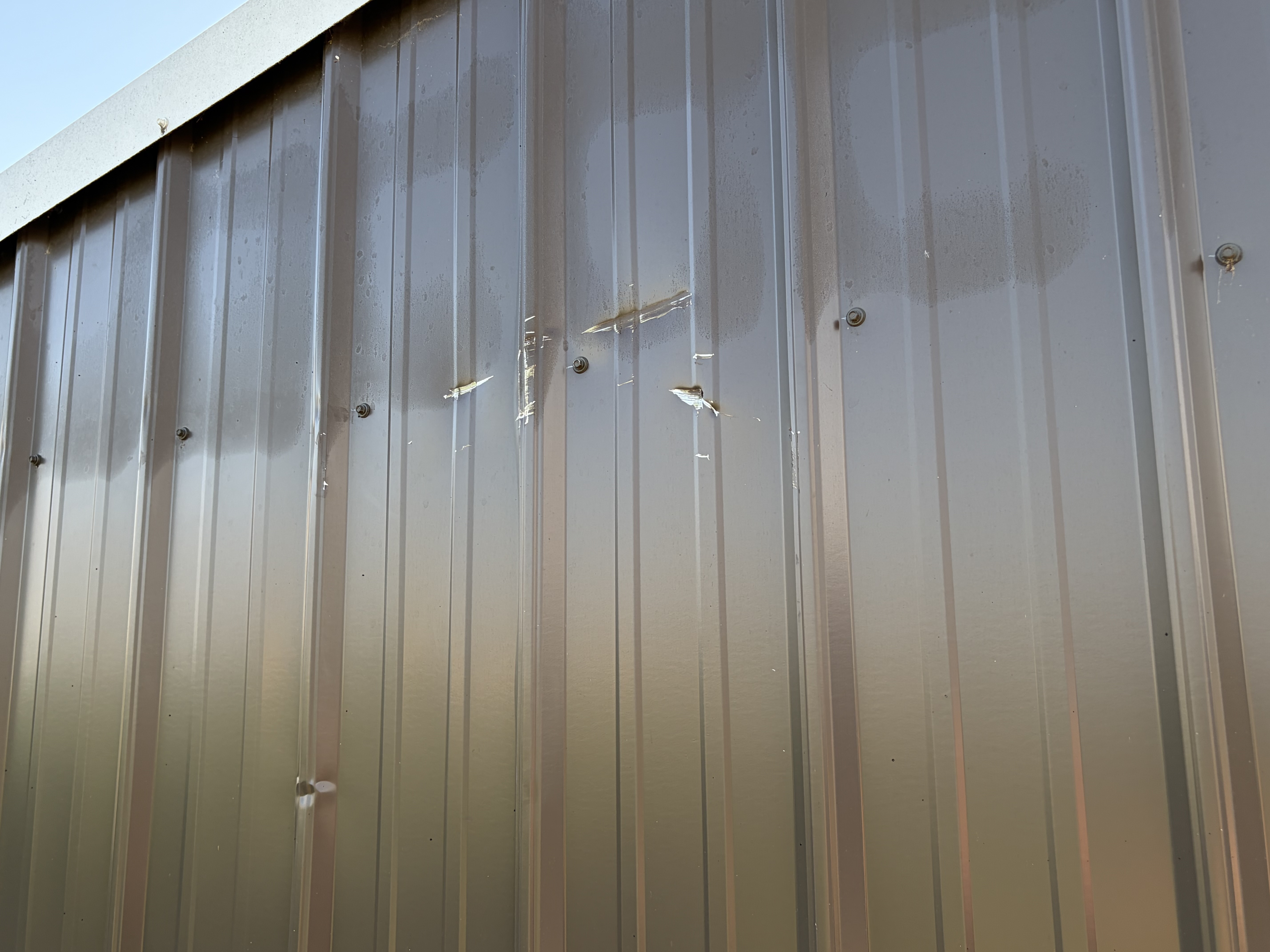 8x12 Run-in Shed #4798