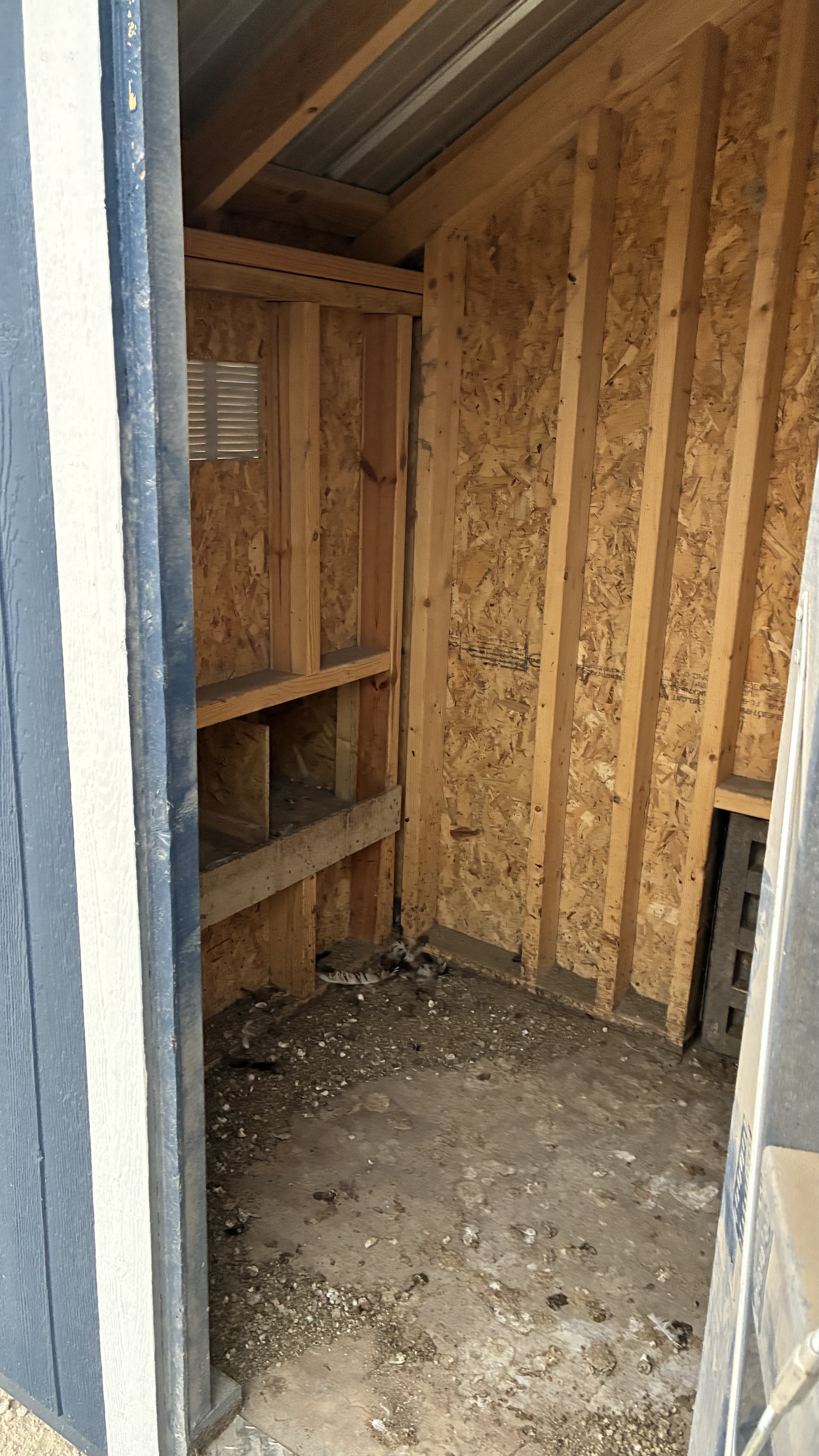 6x12 Chicken Coop #7346